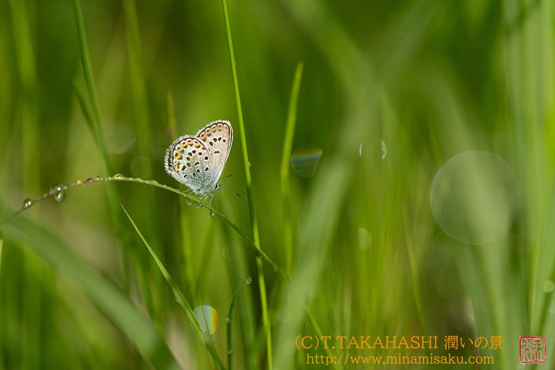 ../Images/7R250706 (37).jpg